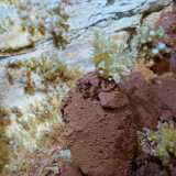 Minerali nella Grotta di San Giorgio Martire a Bari